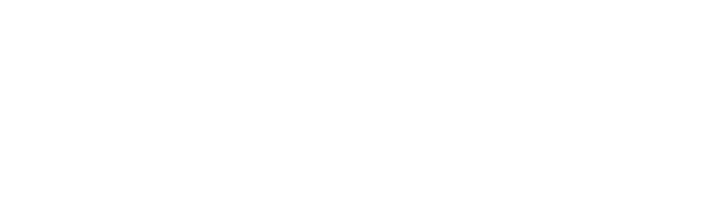 Invoicing Data